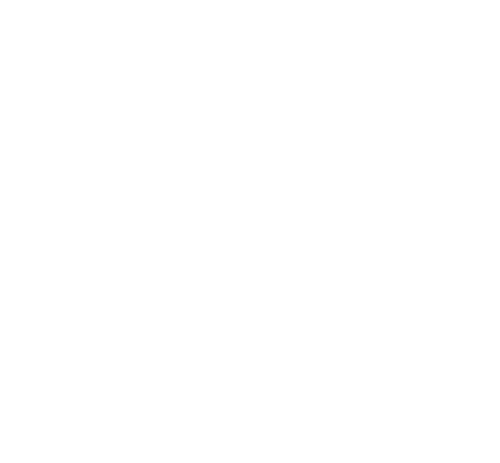 PAUA Logo